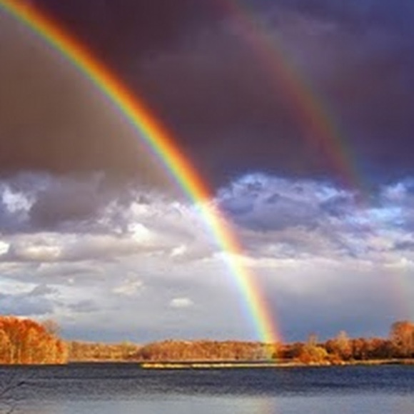 Meet your Posher, Chris - Picture 1 of 1